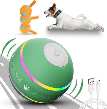 PawChase Automatic Moving Ball Toys for Dogs