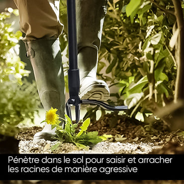 New removable weed remover