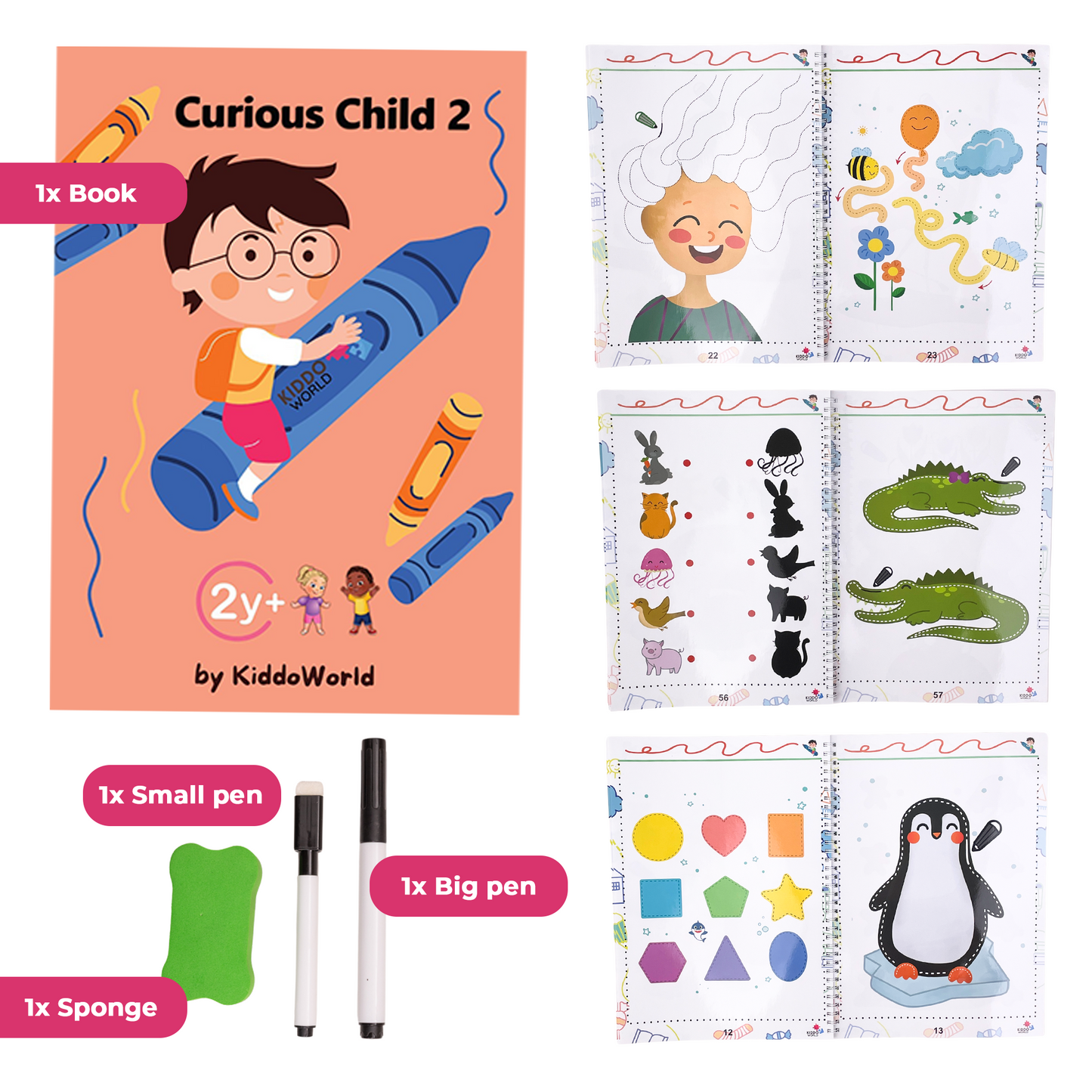 Curious Child 2: Discovering Animals and Objects (ages 2 and up)