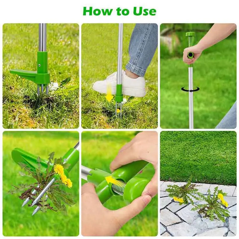 Root remover tool