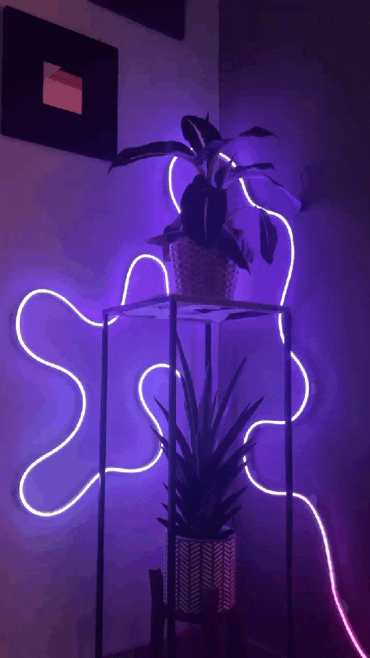 NeonFlow Light with music synchronization