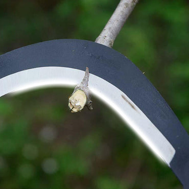 Multipurpose portable weeder