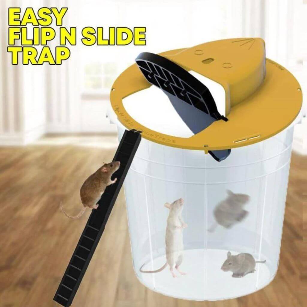 Flip & Slide Mausfalle