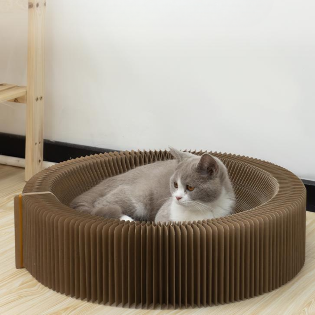 Kratzbrett für Katzen