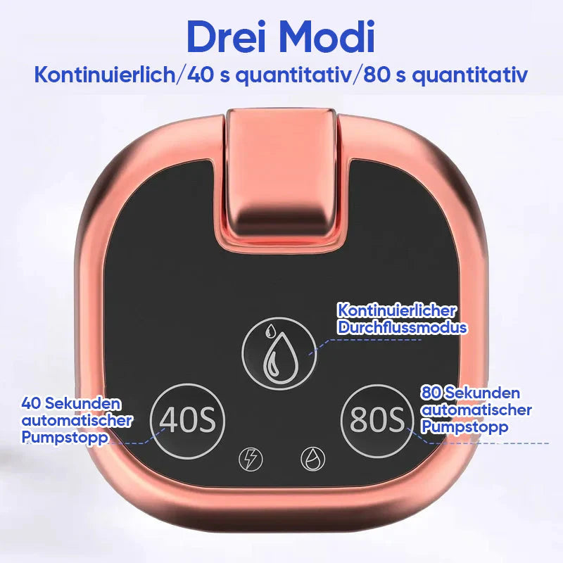 Automatische Wasserpumpe
