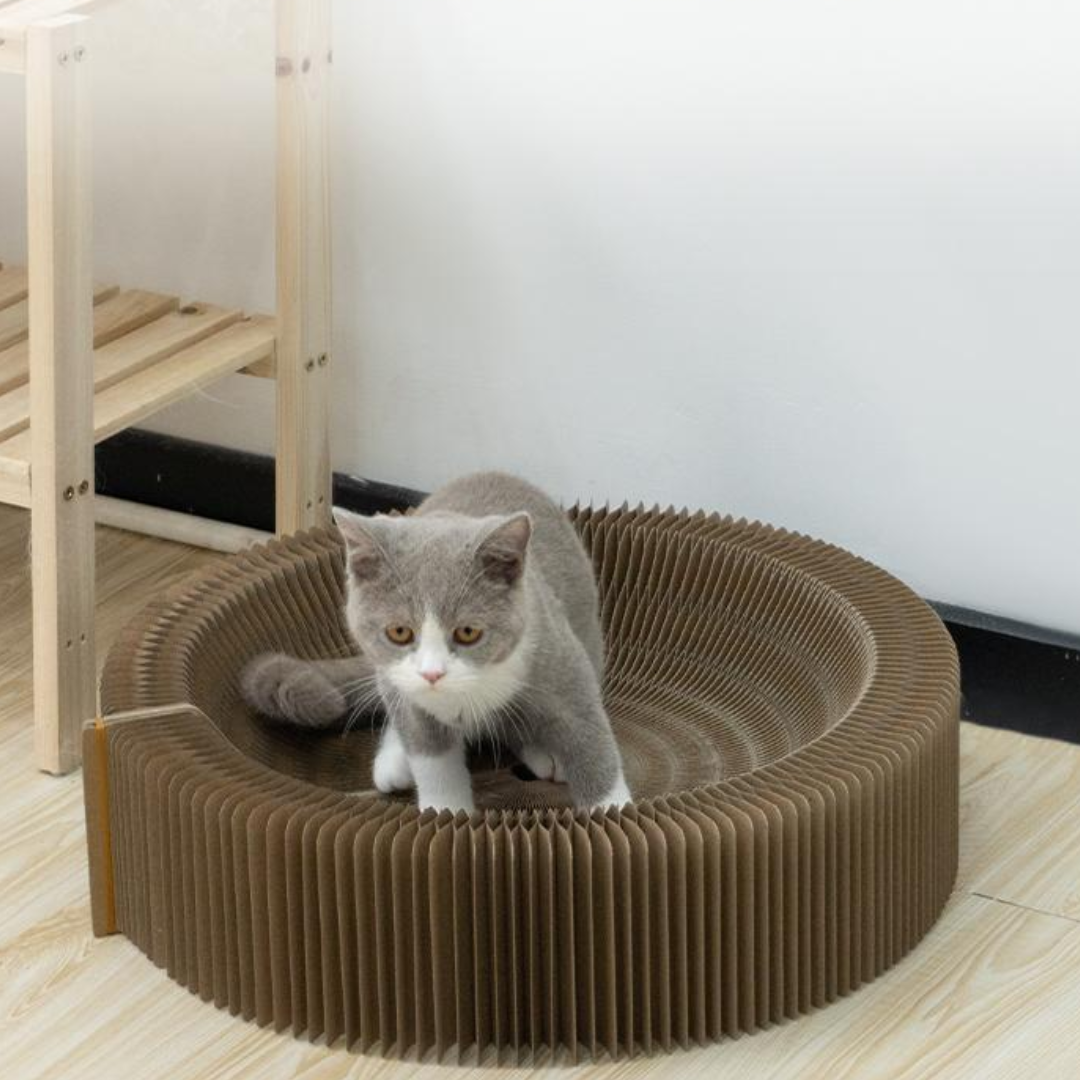 Kratzbrett für Katzen