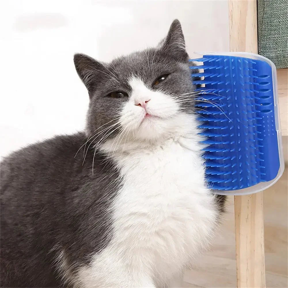 Katzenbürste