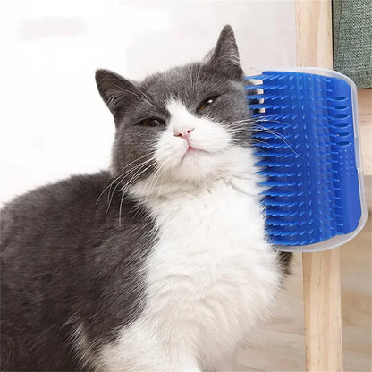 Katzenbürste