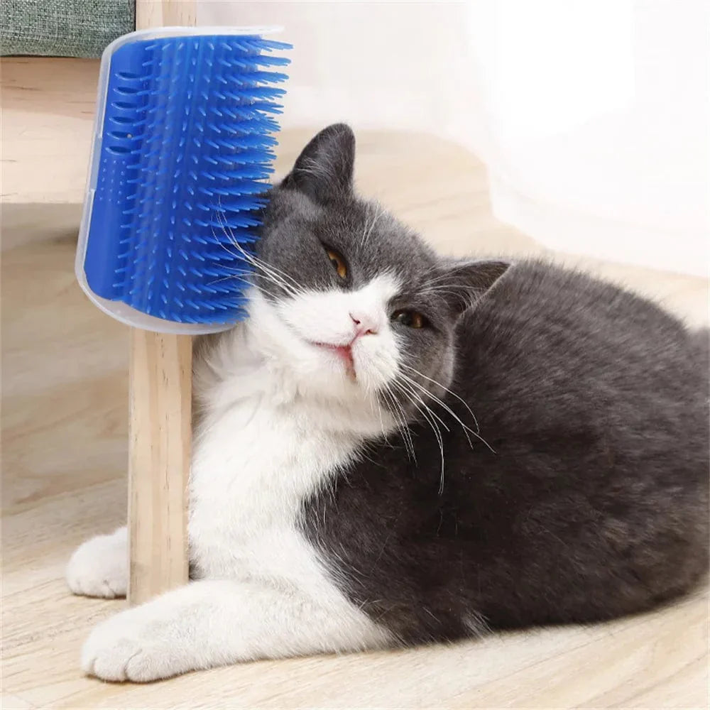 Katzenbürste