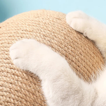 Kratzbälle für Katzen