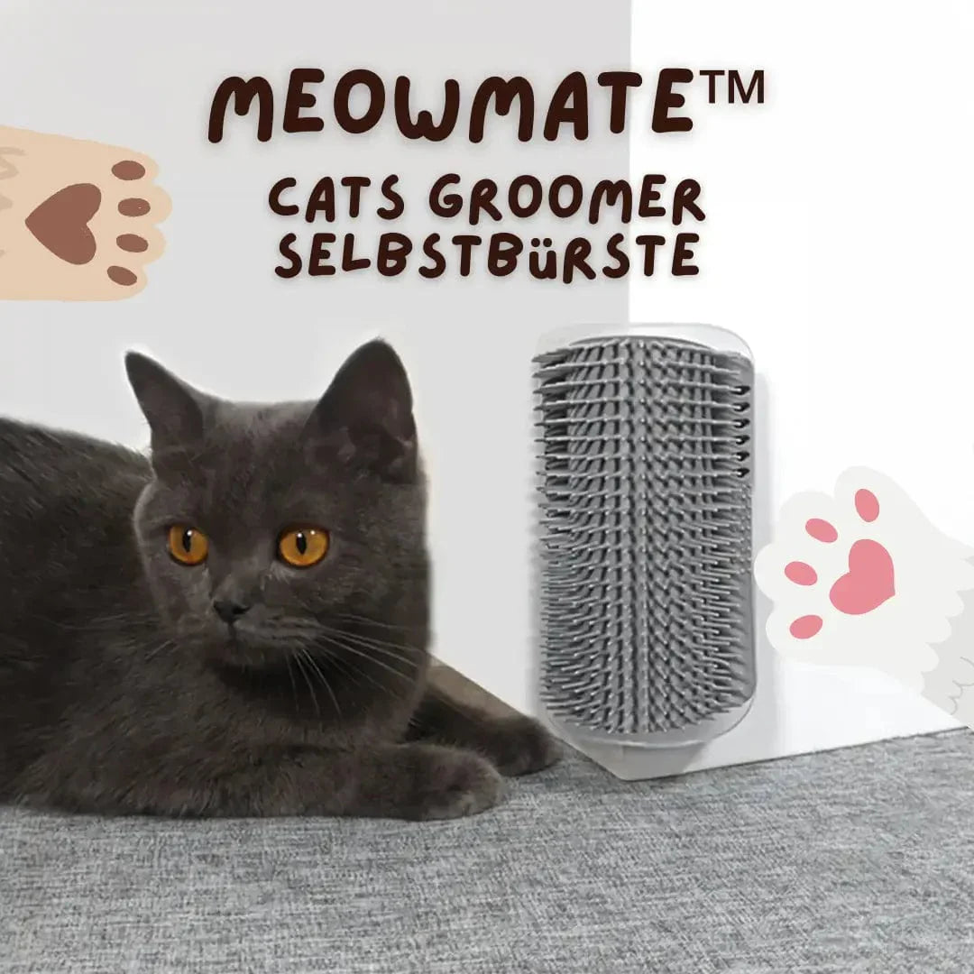 Katzenbürste