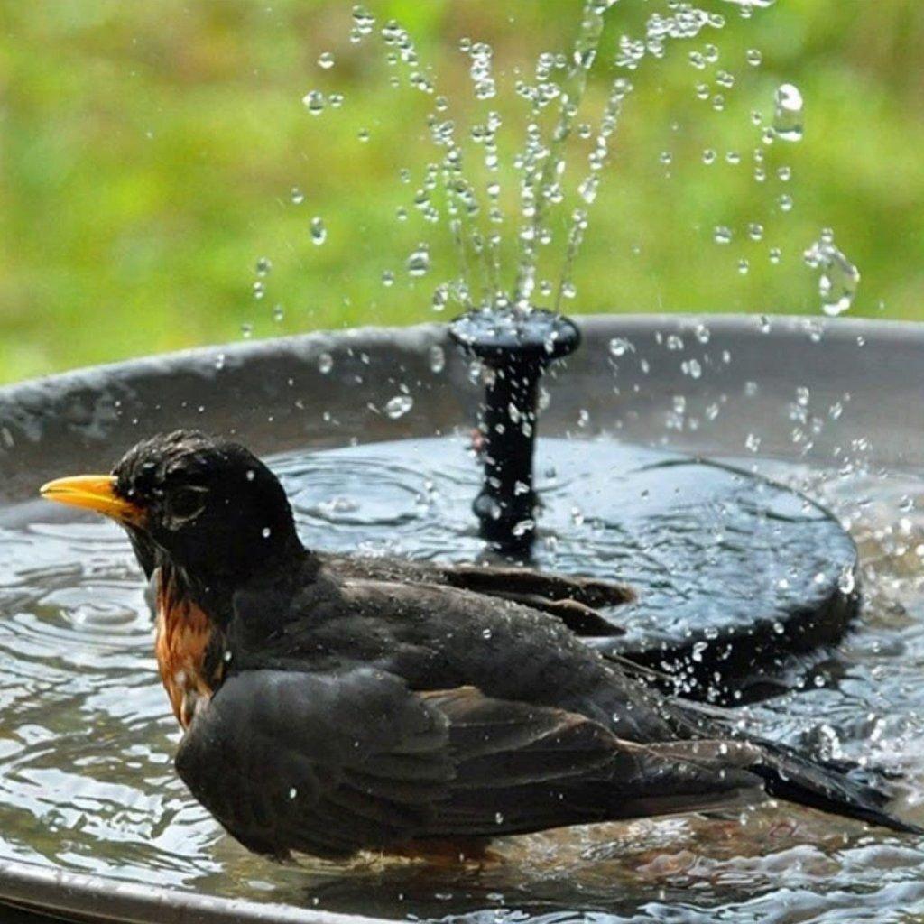 Solare Wasserpumpe für Vogelbad, Teich, Terrasse oder Gartendekoration im Freien