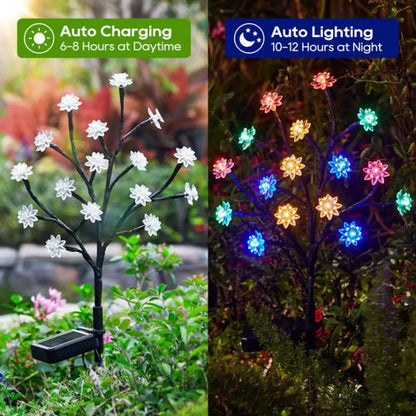 Solarbetriebenes, wetterbeständiges Garten-LED-Lichtset