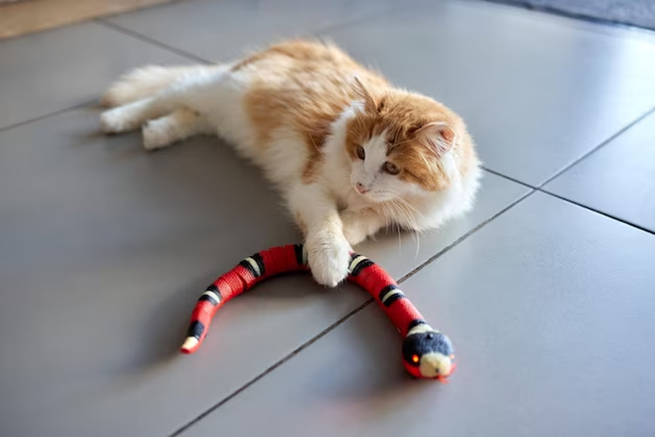Smart Snake Spielzeug